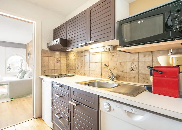 Le Roche Mantel - 4p A Alpe D'huez